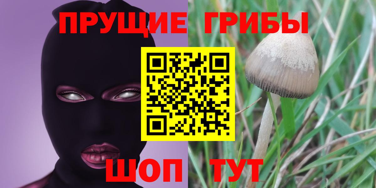 Галлюциногенные грибы прущие грибы  Вход с VPN  Видное 